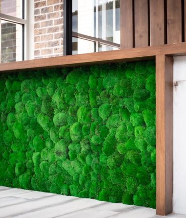 Preserved Pole Moss Walls | Greenwalls By Botanical Designs - Avon Apartments