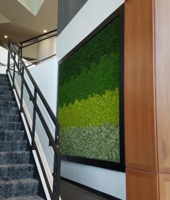 Preserved Ombre Reindeer Moss Walls | Greenwalls By Botanical Designs - 505 Waterford