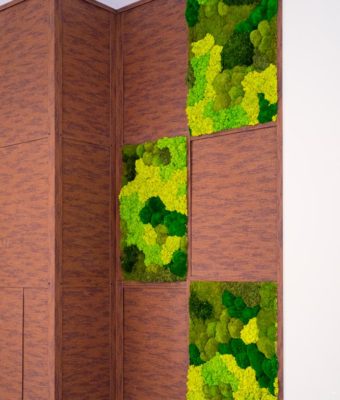 Preserved Mixed Moss Walls | Greenwalls By Botanical Designs - Avon Apartments
