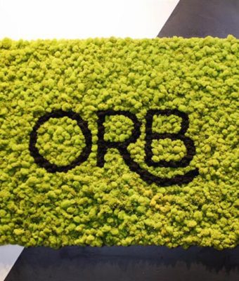Preserved Reindeer Moss Walls | Greenwalls By Botanical Designs - Outer Range Brewery