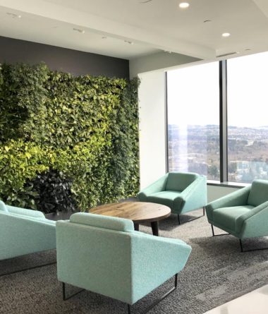 Interior Living Walls | Greenwalls By Botanical Designs - Pokemon
