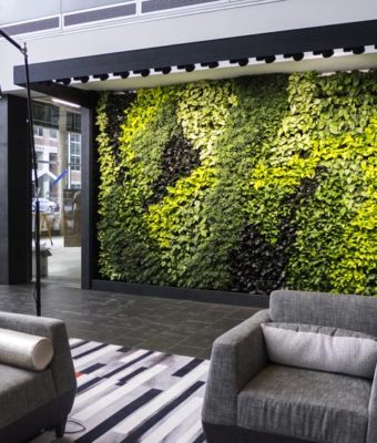Interior Living Walls | Greenwalls By Botanical Designs - Dexter Station