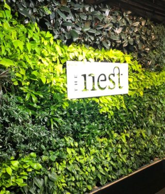 Interior Living Walls | Greenwalls By Botanical Designs - The Nest at Hotel Thompson