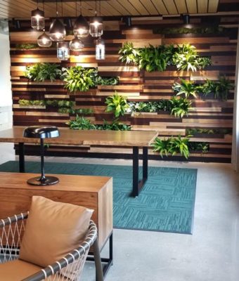 Interior Living Walls | Greenwalls By Botanical Designs - lans