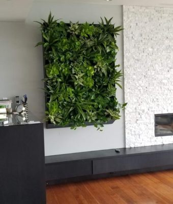 Interior Living Walls | Greenwalls By Botanical Designs - Tamte