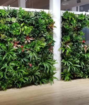 Interior Living Walls | Greenwalls By Botanical Designs - Space 150