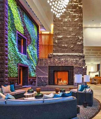 Interior Living Walls | Greenwalls By Botanical Designs - Madison Centre