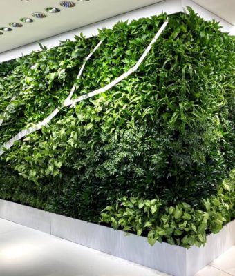 Interior Living Walls | Greenwalls By Botanical Designs - Monolithic Power Systems