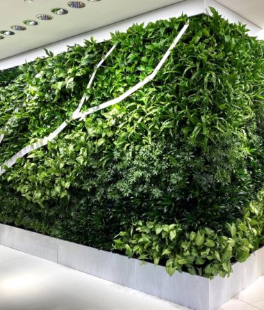 Interior Living Walls | Greenwalls By Botanical Designs - Monolithic Power Systems