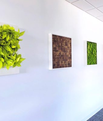 Framed Mosaic Moss Wall Tiles | Greenwalls By Botanical Designs - Stockcharts.com