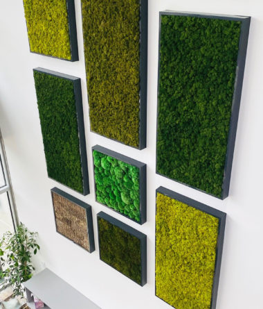 Framed Mosaic Moss Wall Tiles | Greenwalls By Botanical Designs - DVS Seattle