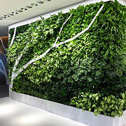 Living Wall 9 - Monolithic Power Systems