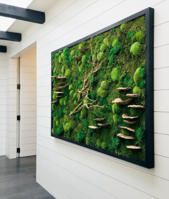 Preserved Mixed Moss Walls | Greenwalls By Botanical Designs - Private Residence Bellevue, WA