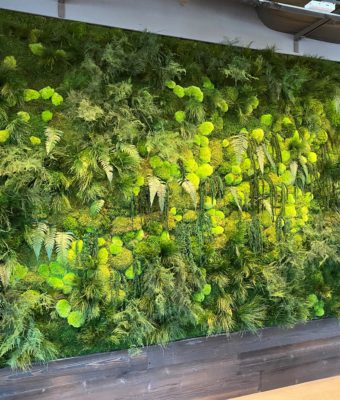 Preserved Mixed Moss and Folia Walls | Greenwalls By Botanical Designs - Pokemon