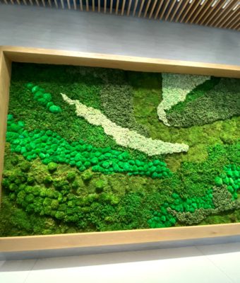 Preserved Mixed Moss Walls | Greenwalls By Botanical Designs - 333 Dexter