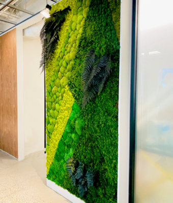 Preserved Mixed Moss and Folia Walls | Greenwalls By Botanical Designs - Twinstrand