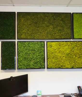 Framed Mosaic Moss Wall Tiles | Greenwalls By Botanical Designs - Fairway Mortgage