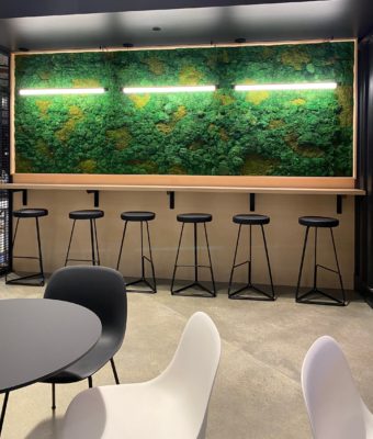 Preserved Mixed Moss Walls | Greenwalls By Botanical Designs - T-Mobile Springboard