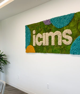 Preserved Mixed Moss Walls | Greenwalls By Botanical Designs - ICIMS