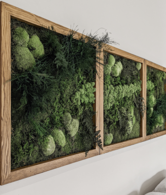 Preserved Mixed Moss and Folia Walls | Greenwalls By Botanical Designs - Private Residence Seattle, WA