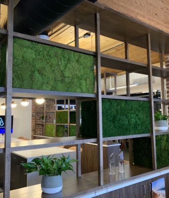 Preserved Mixed Moss Cubes | Greenwalls By Botanical Designs - First American Title