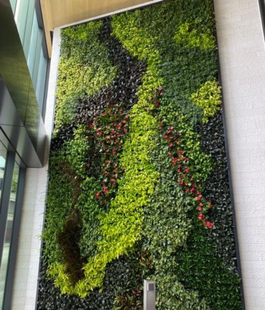 Interior Living Walls | Greenwalls By Botanical Designs - Columbia Center