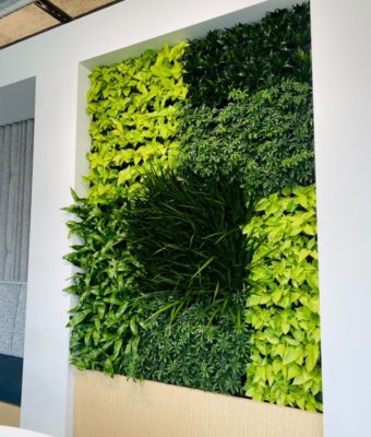 Interior Living Walls | Greenwalls By Botanical Designs - Neoluekin