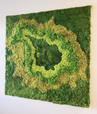 Preserved Mixed Moss Walls | Greenwalls By Botanical Designs - Tuxera