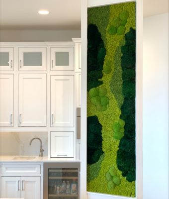 Preserved Mixed Moss Walls | Greenwalls By Botanical Designs - Ogle Residence
