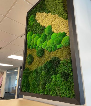 Preserved Mixed Moss Walls | Greenwalls By Botanical Designs - Remitly