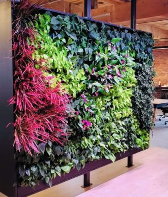 Interior Living Walls | Greenwalls By Botanical Designs - OAC Services