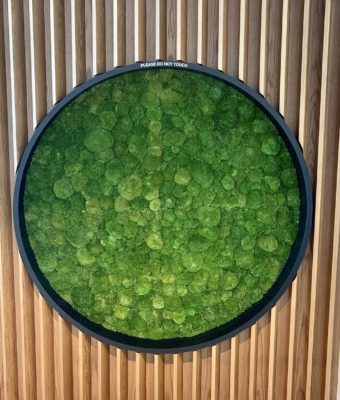 Preserved Pole Moss Walls | Greenwalls By Botanical Designs - Gates Ventures Seattle