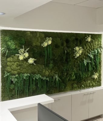 Preserved Mixed Moss and Folia Walls | Greenwalls By Botanical Designs - Private Medical Miami