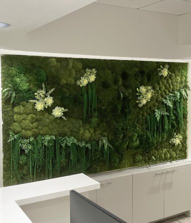 Preserved Mixed Moss and Folia Walls | Greenwalls By Botanical Designs - Private Medical Miami