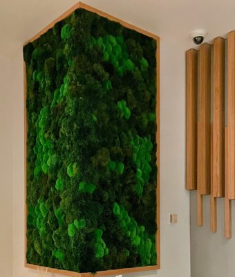 Preserved Mood and Pole Moss Walls | Greenwalls By Botanical Designs - SEATAC Alaska Lounge