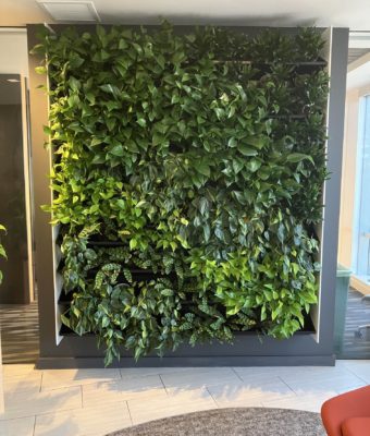 Interior Living Walls | Greenwalls By Botanical Designs - Concur