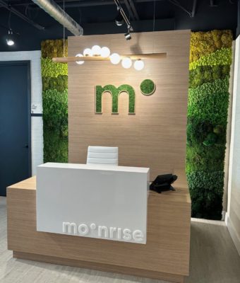 Preserved Mixed Ombre Moss Walls | Greenwalls By Botanical Designs - Centena Health Group Moonrise
