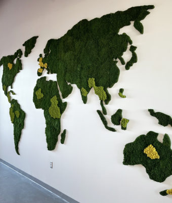 Preserved Mixed Moss Wall Map | Greenwalls By Botanical Designs - Compassion International