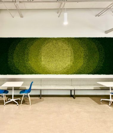 Preserved Ombre Reindeer Moss Walls Map | Greenwalls By Botanical Designs - Philips