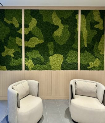 Preserved Reindeer Moss Walls | Greenwalls By Botanical Designs - Clarion Capital