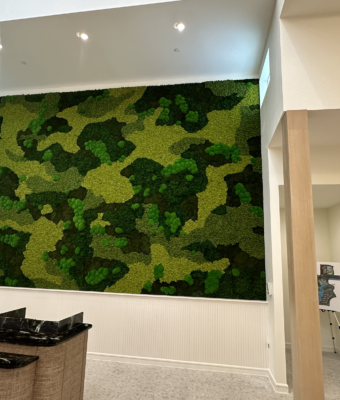 Preserved Mixed Moss Walls | Greenwalls By Botanical Designs - Embassy Suites Margaritaville
